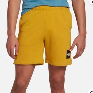 The North Face Men's Never Stop Athletic Shorts In Arrowwood Size XXL
